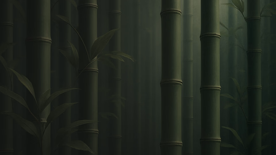 Floresta de bambu, fonte renovável do material